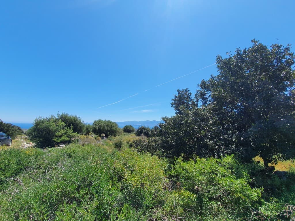 For Sale Land 7857 m² in Crete