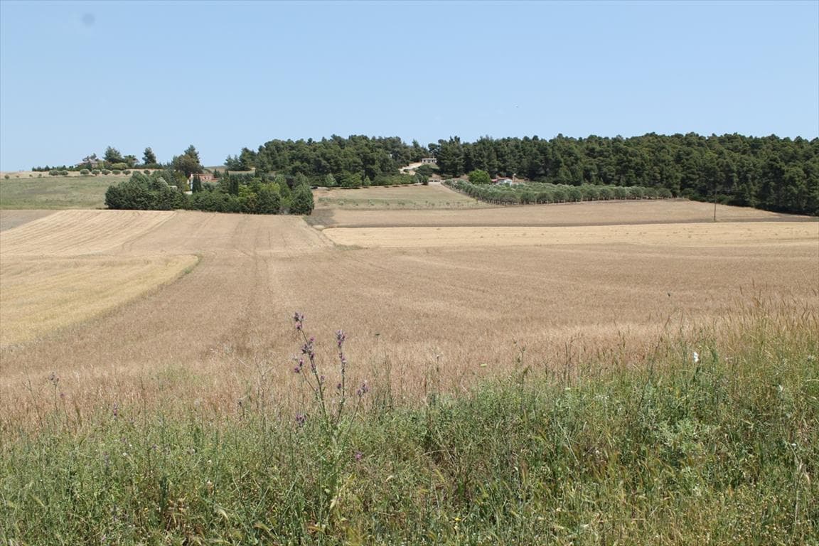 For Sale Land 4050 m² in Kassandra, Chalkidiki