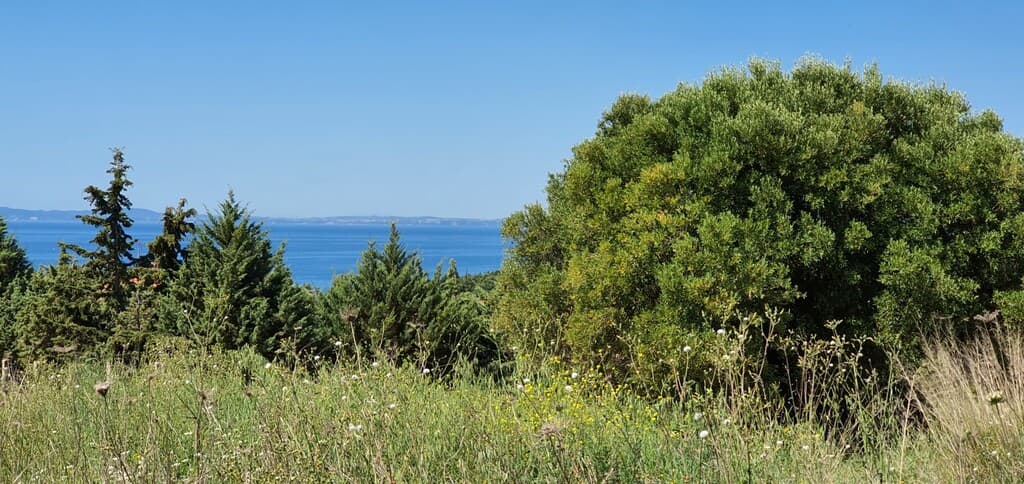For Sale Land 4000 m² in Sithonia, Chalkidiki