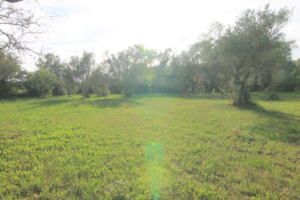 For Sale Land 4188 m² in Corfu