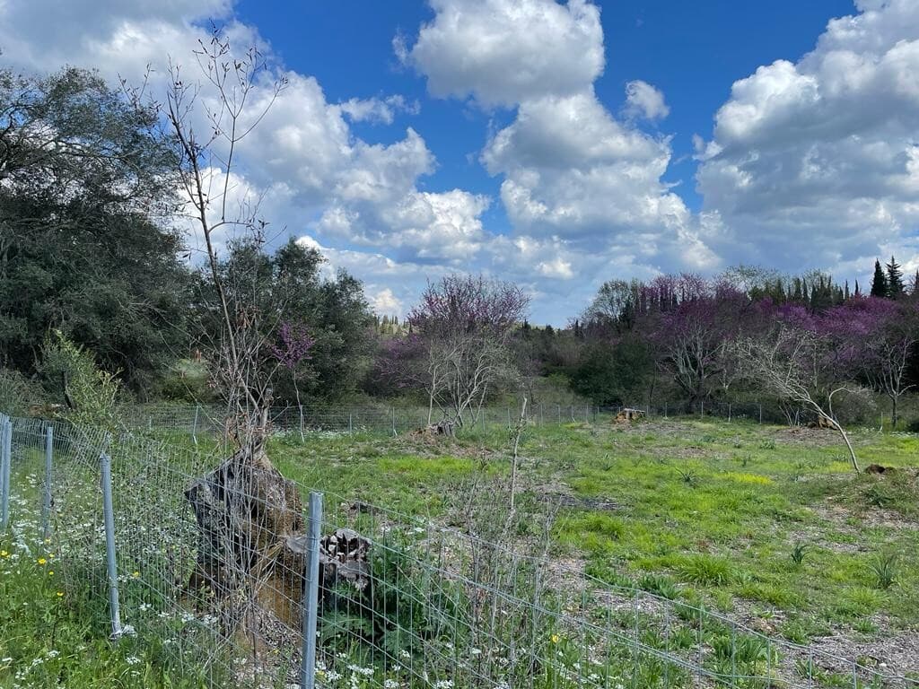 For Sale Land 1460 m² in Corfu