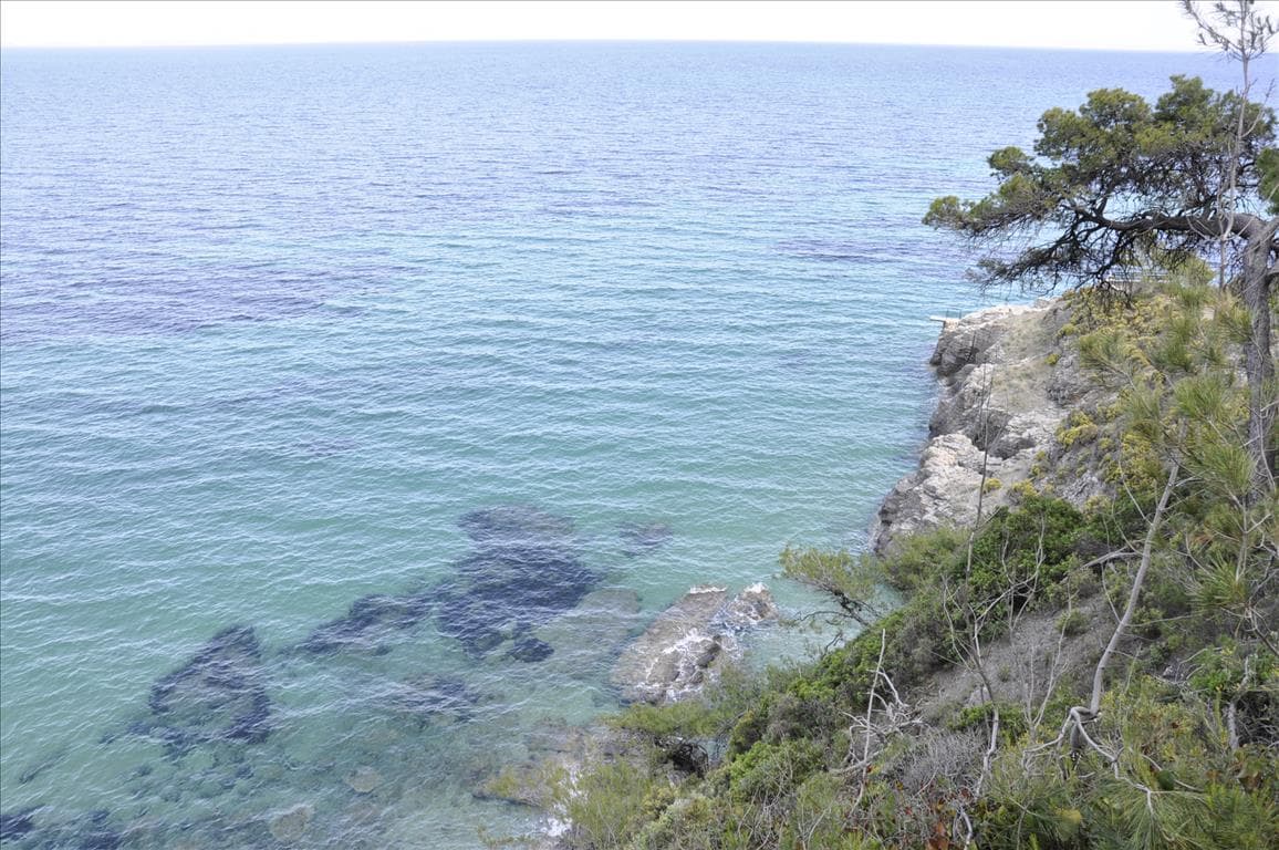For Sale Land 12150 m² in Sithonia, Chalkidiki