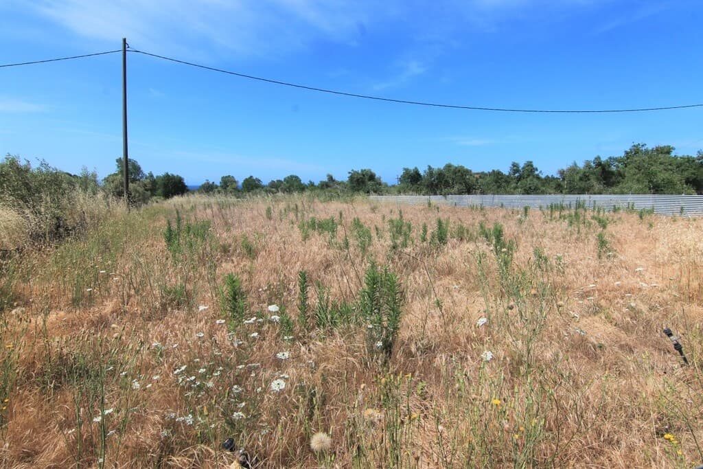 For Sale Land 10000 m² in Corfu