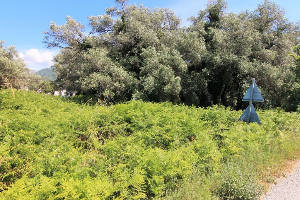 For Sale Land 2000 m² in Corfu
