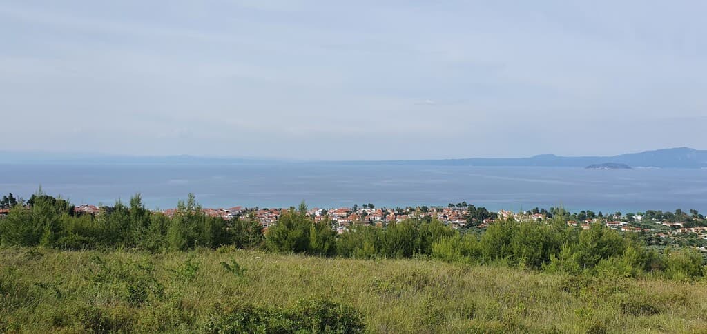 For Sale Land 9603 m² in Kassandra, Chalkidiki