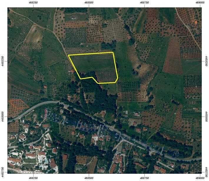 For Sale Land 20000 m² in Sithonia, Chalkidiki