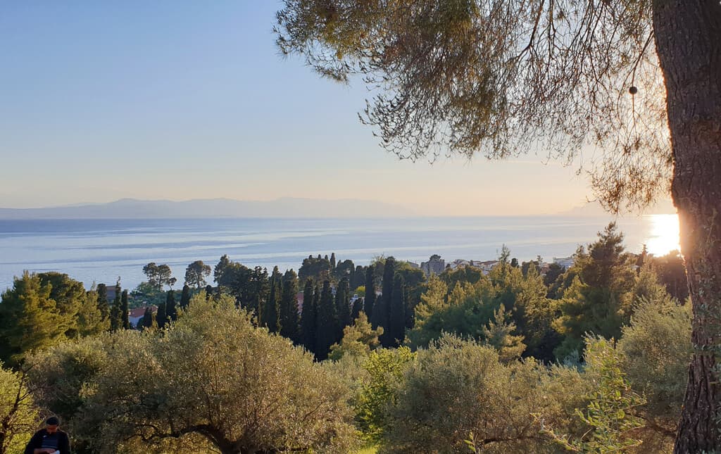 For Sale Land 29486 m² on the Euboea island
