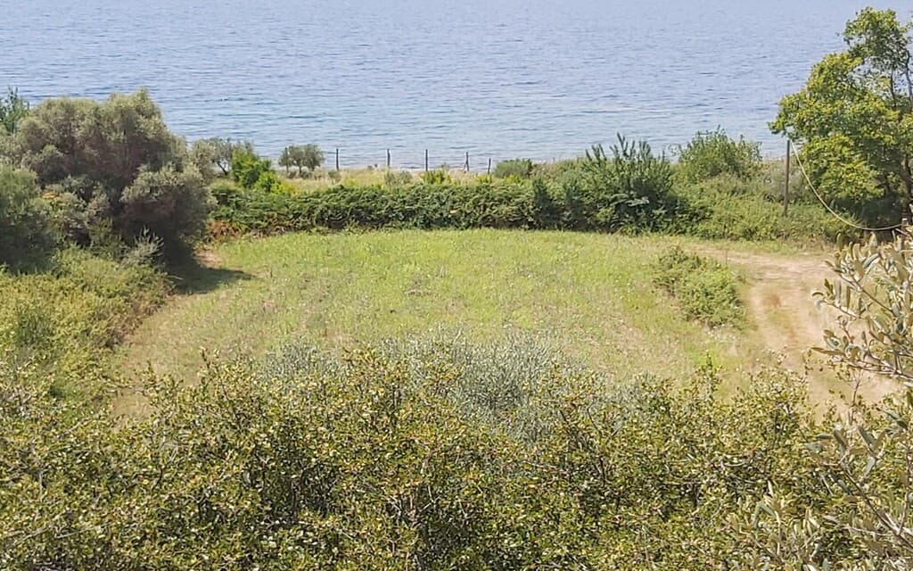 For Sale Land 1600 m² in Athos, Chalkidiki