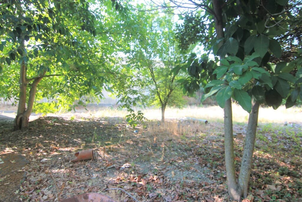 For Sale Land 1342 m² in Corfu