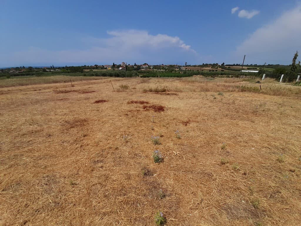 For Sale Land 348 m² in Chalkidiki