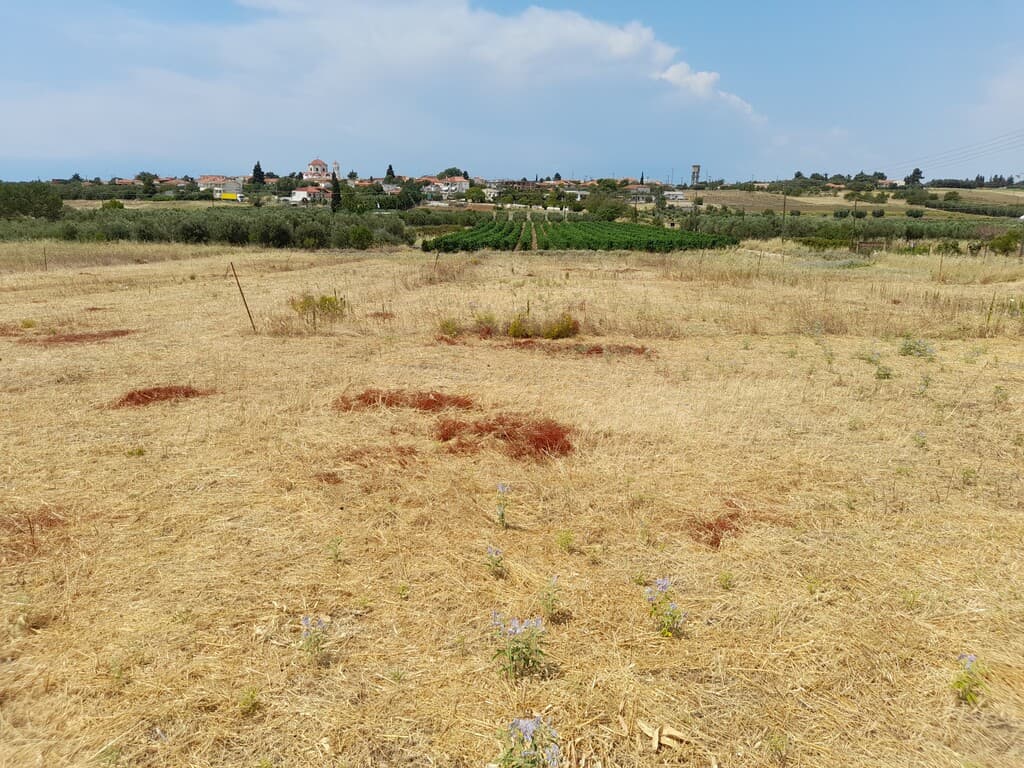 For Sale Land 370 m² in Chalkidiki