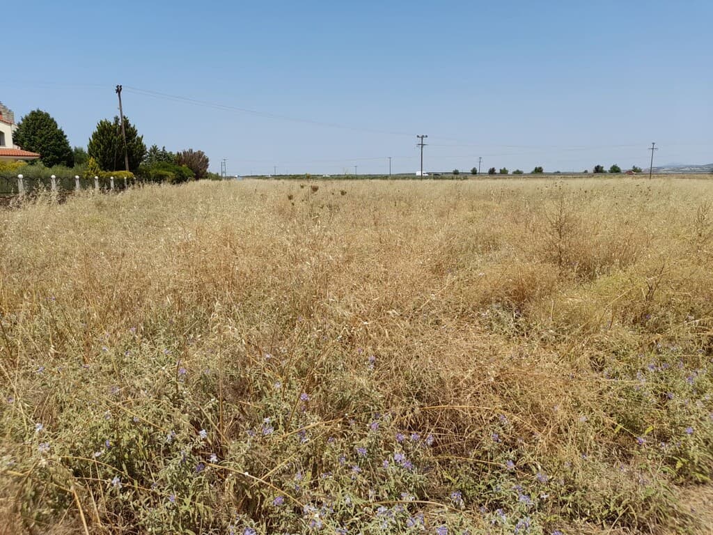 For Sale Land 10000 m² in Chalkidiki