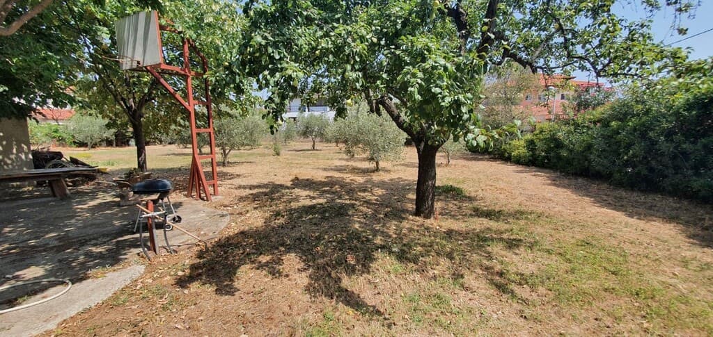 For Sale Land 900 m² in Chalkidiki