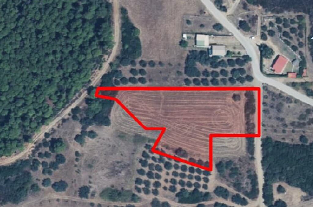 For Sale Land 4500 m² in Athos, Chalkidiki