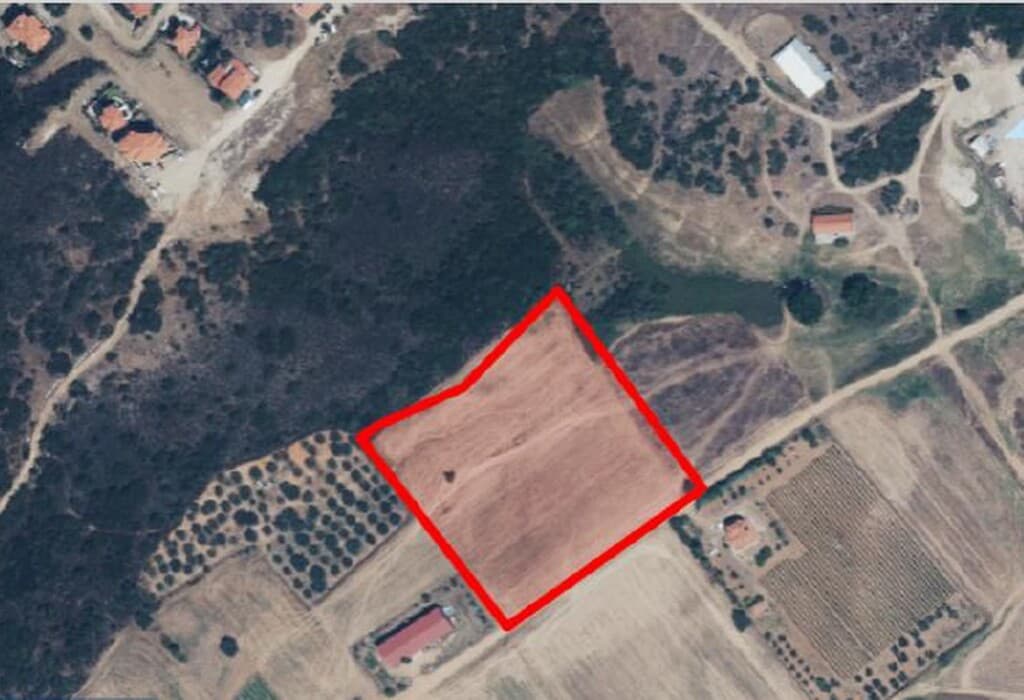 For Sale Land 13000 m² in Athos, Chalkidiki
