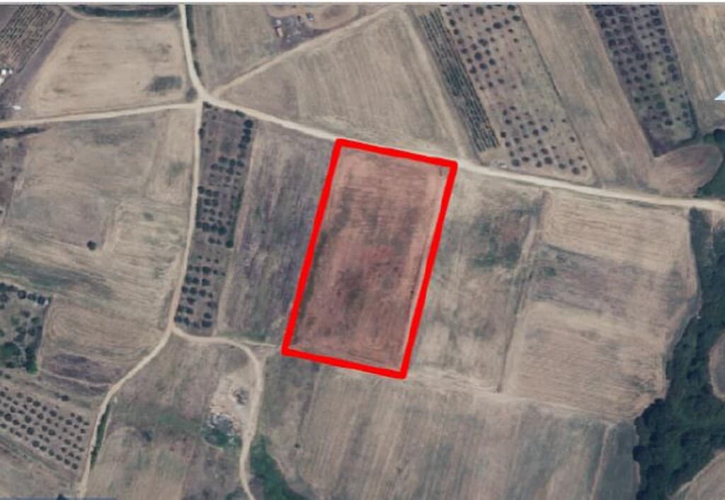 For Sale Land 11800 m² in Athos, Chalkidiki