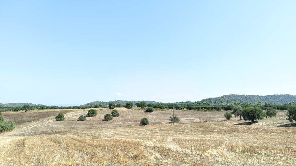 For Sale Land 6000 m² in Kassandra, Chalkidiki