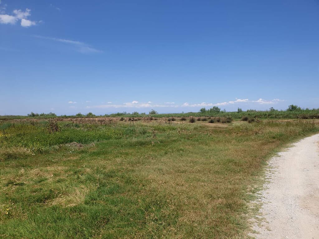 For Sale Land 12955 m² on the Olympic Coast