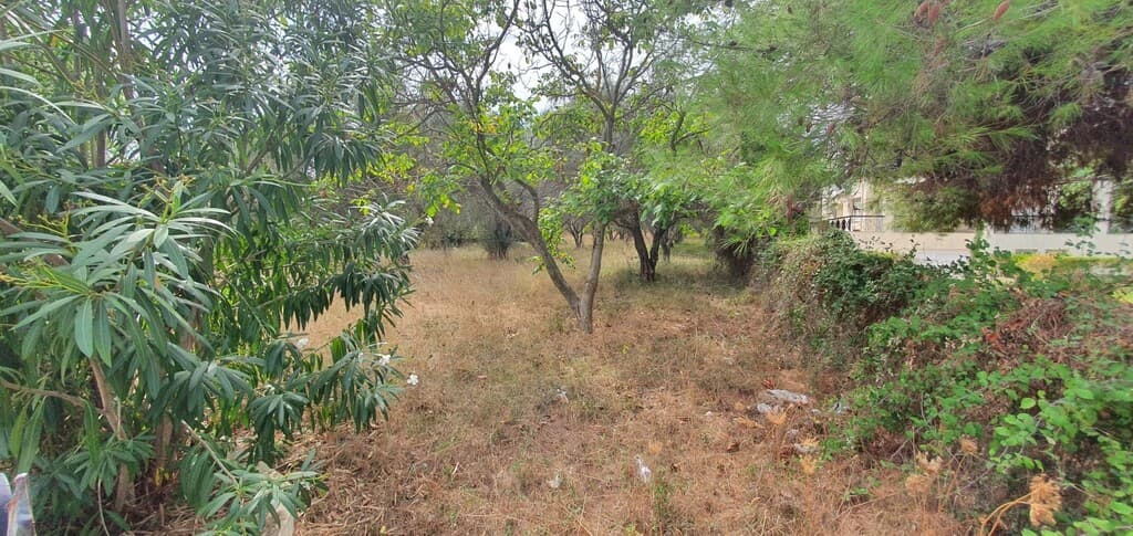 For Sale Land 2000 m² in Kassandra, Chalkidiki