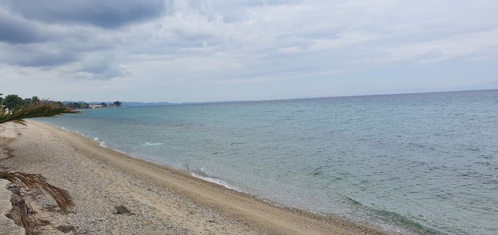 For Sale Land 12000 m² in Kassandra, Chalkidiki