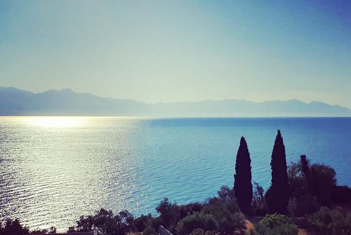 For Sale Land 7500 m² in Western Peloponnese