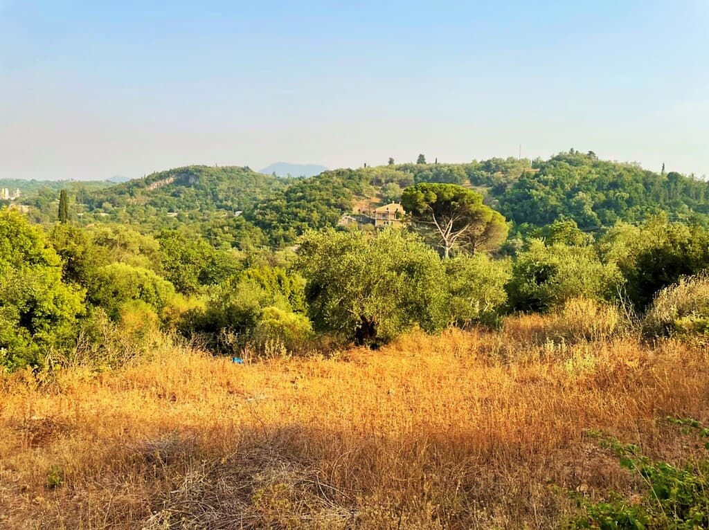 For Sale Land 21000 m² in Corfu