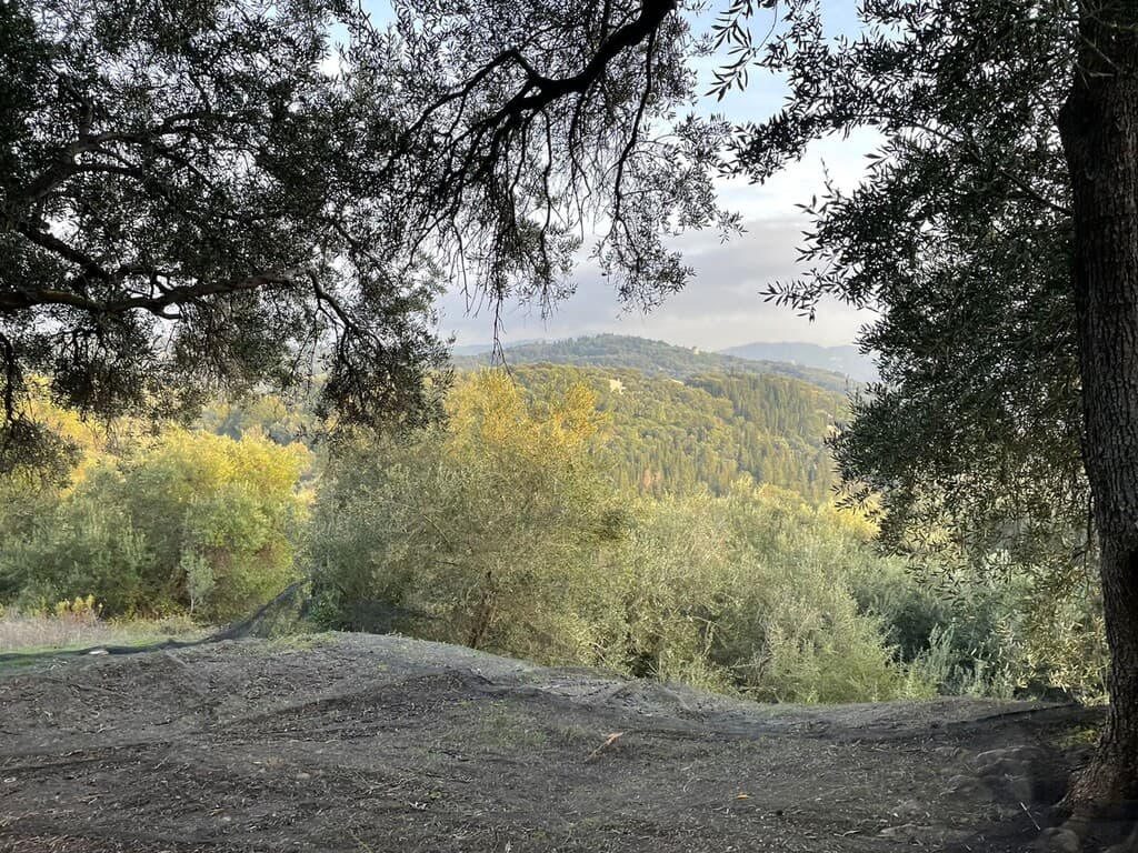 For Sale Land 4027 m² in Corfu