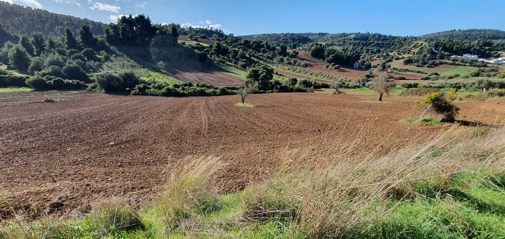 For Sale Land 4100 m² in Kassandra, Chalkidiki