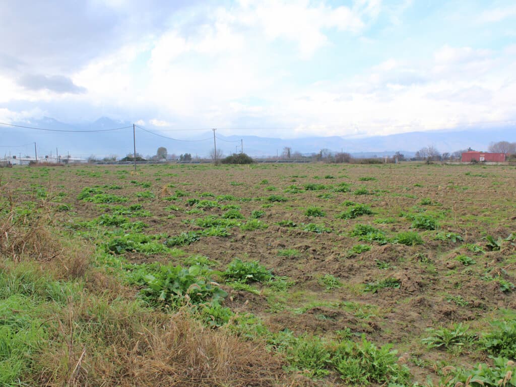 For Sale Land 48714 m² on the Olympic Coast