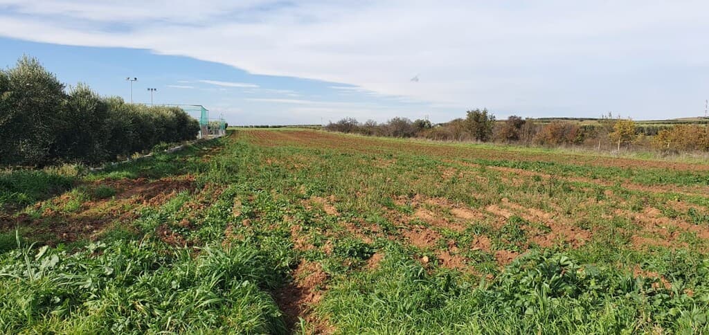 For Sale Land 10000 m² in Chalkidiki