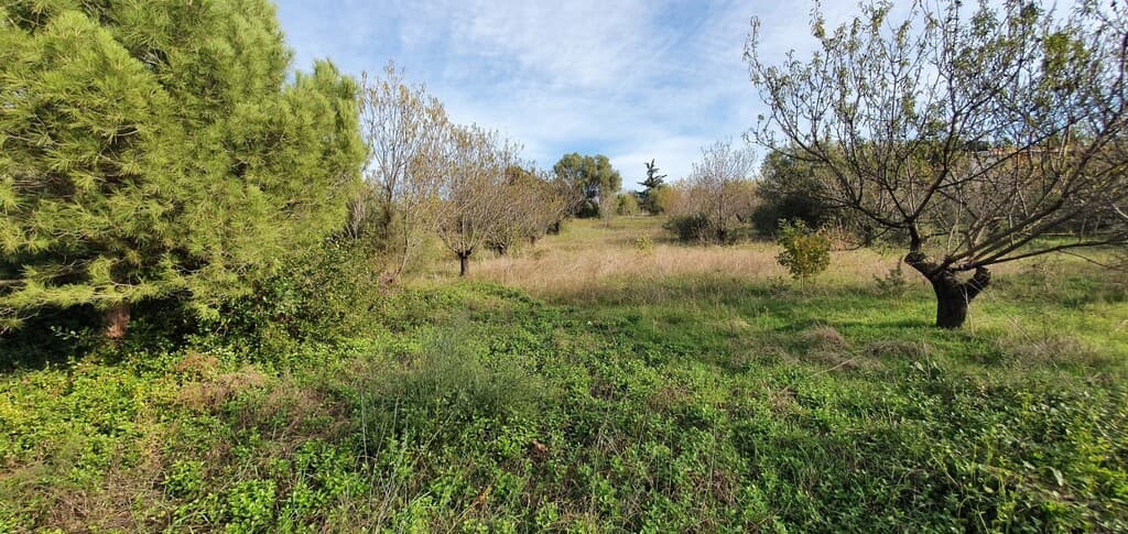 For Sale Land 2000 m² in Chalkidiki