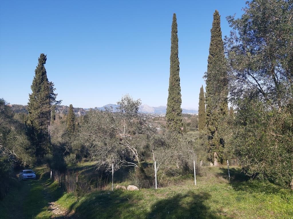 For Sale Land 7000 m² in Corfu