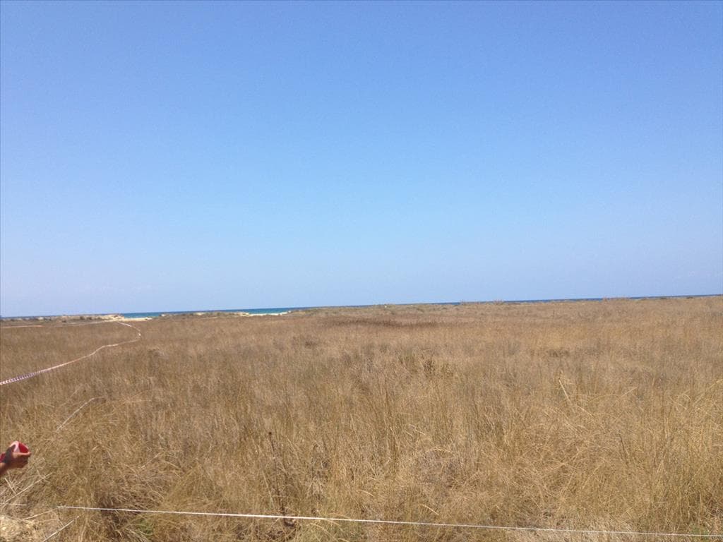 For Sale Land 14000 m² in Western Peloponnese
