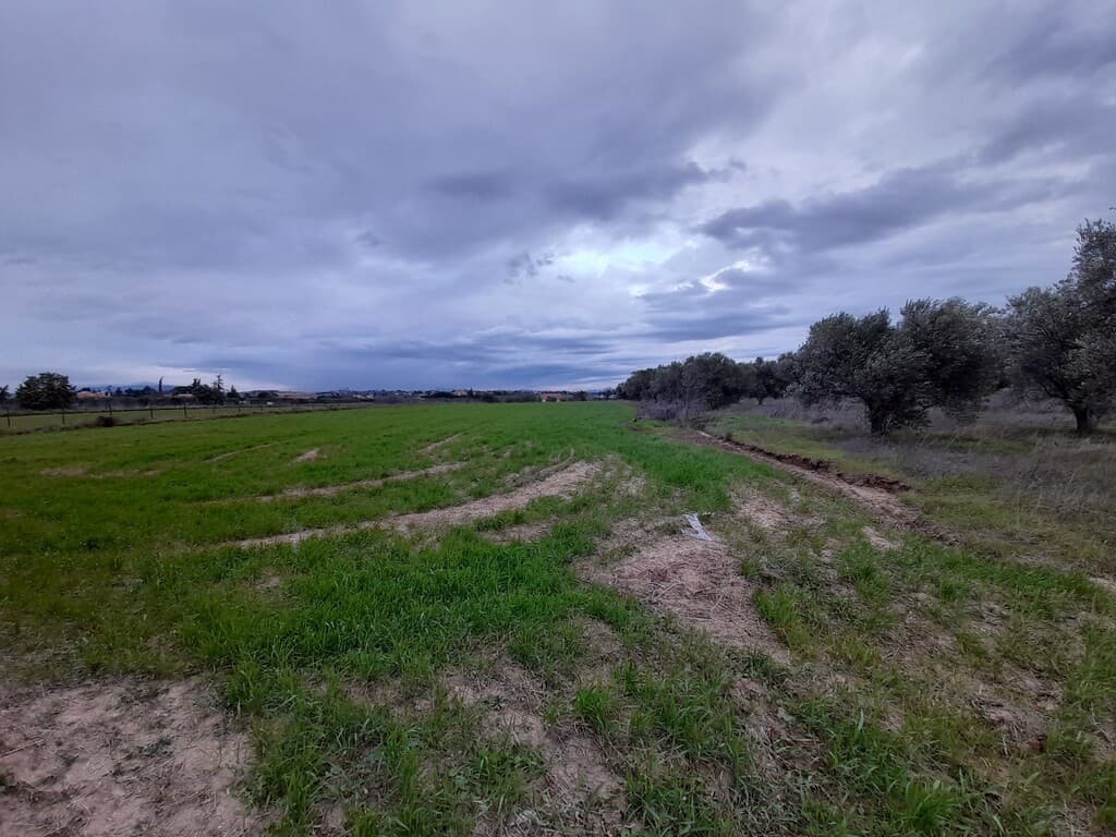 For Sale Land 4312 m² in the suburbs of Thessaloniki