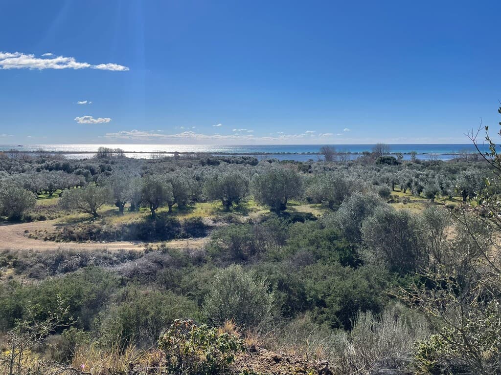 For Sale Land 5000 m² in Corfu