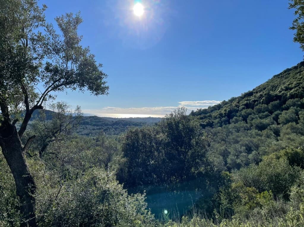 For Sale Land 44872 m² in Corfu