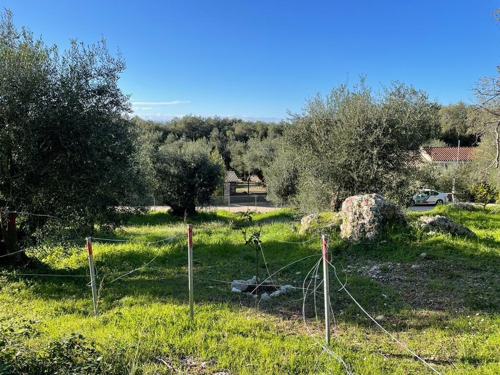 For Sale Land 4500 m² in Corfu