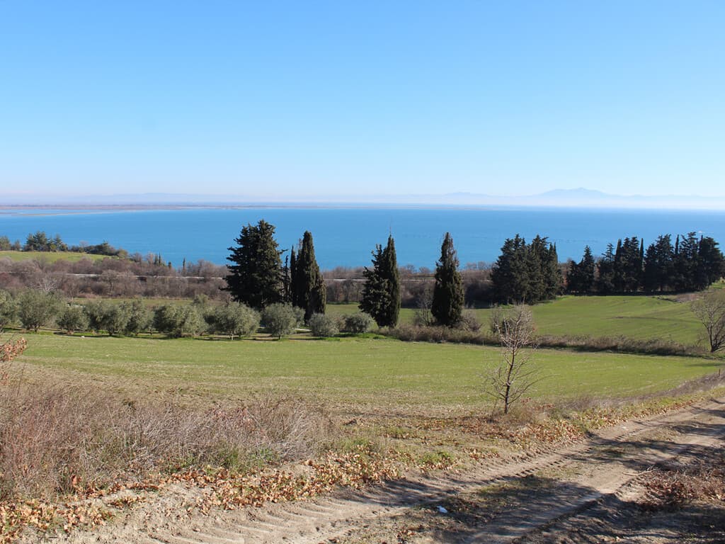 For Sale Land 3900 m² on the Olympic Coast