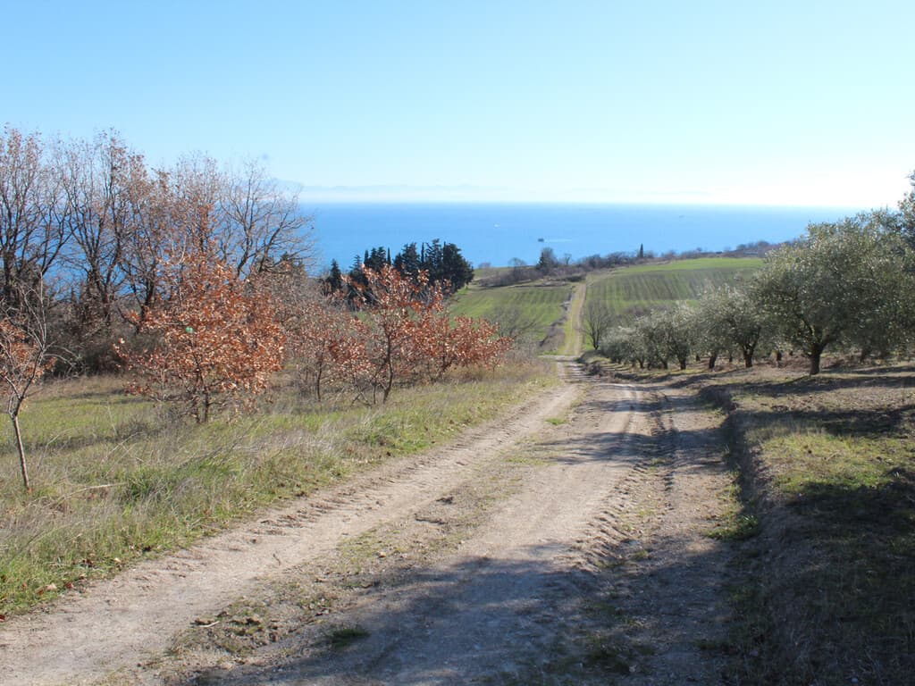 For Sale Land 1200 m² on the Olympic Coast