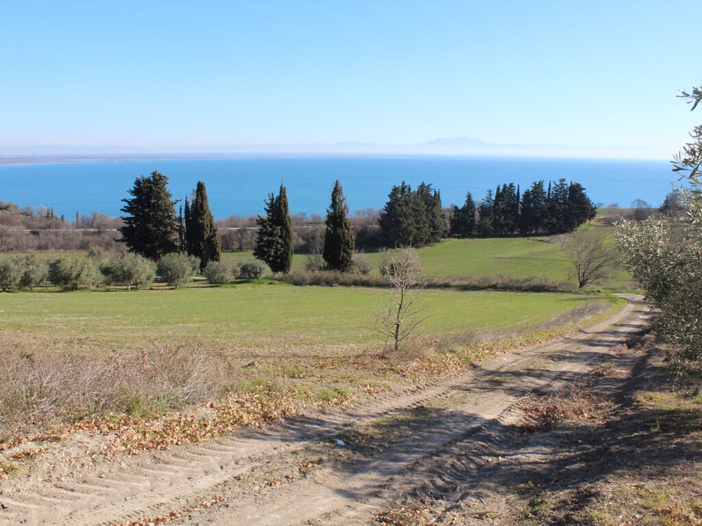 For Sale Land 1400 m² on the Olympic Coast