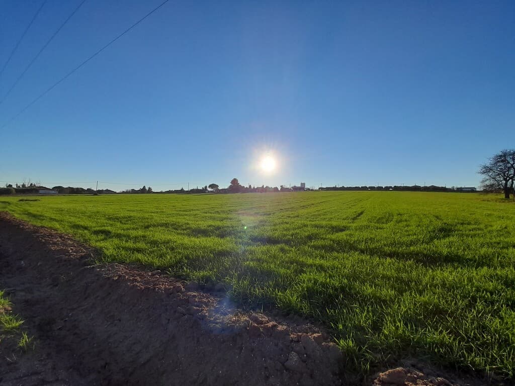 For Sale Land 22400 m² in Chalkidiki