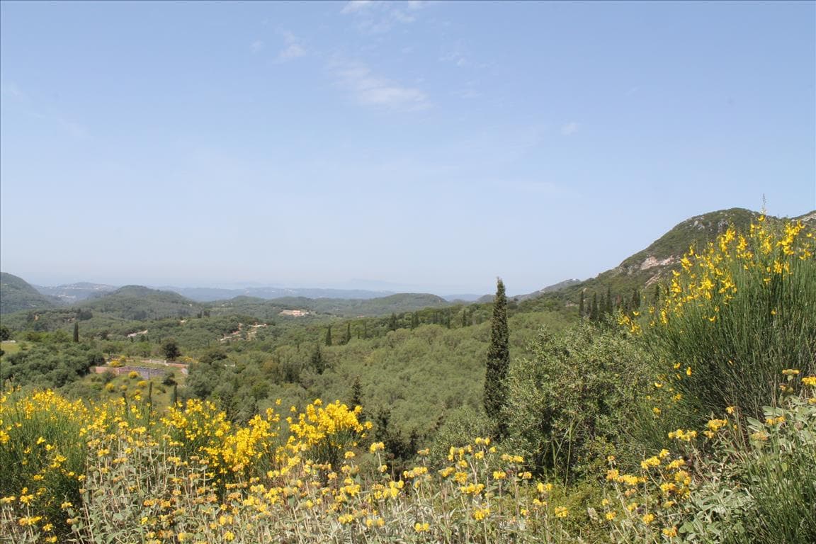 For Sale Land 5000 m² in Corfu
