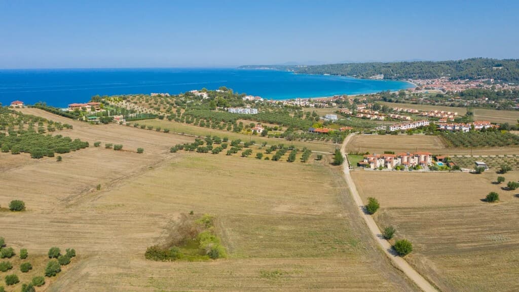 For Sale Land 9900 m² in Kassandra, Chalkidiki