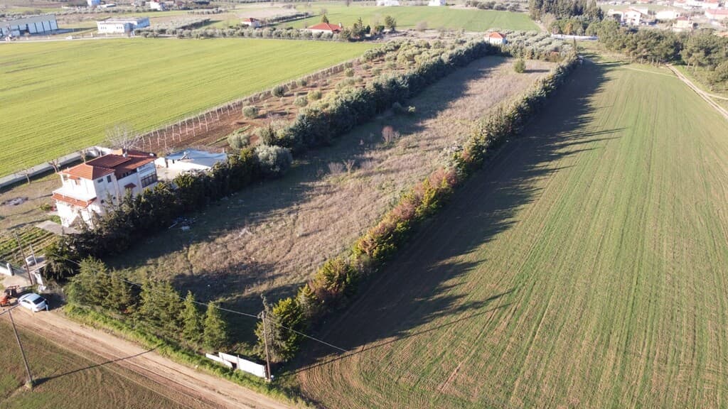 For Sale Land 7600 m² in Chalkidiki