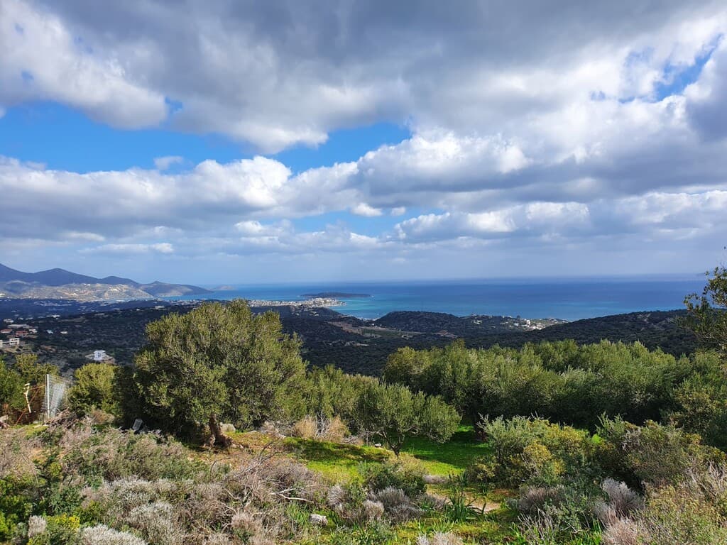 For Sale Land 4790 m² in Crete