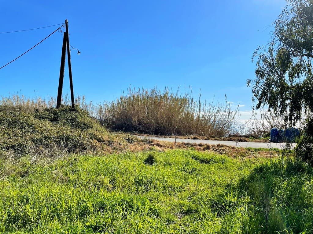 For Sale Land 3646 m² in Corfu
