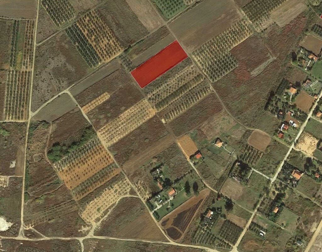 For Sale Land 4550 m² in Chalkidiki