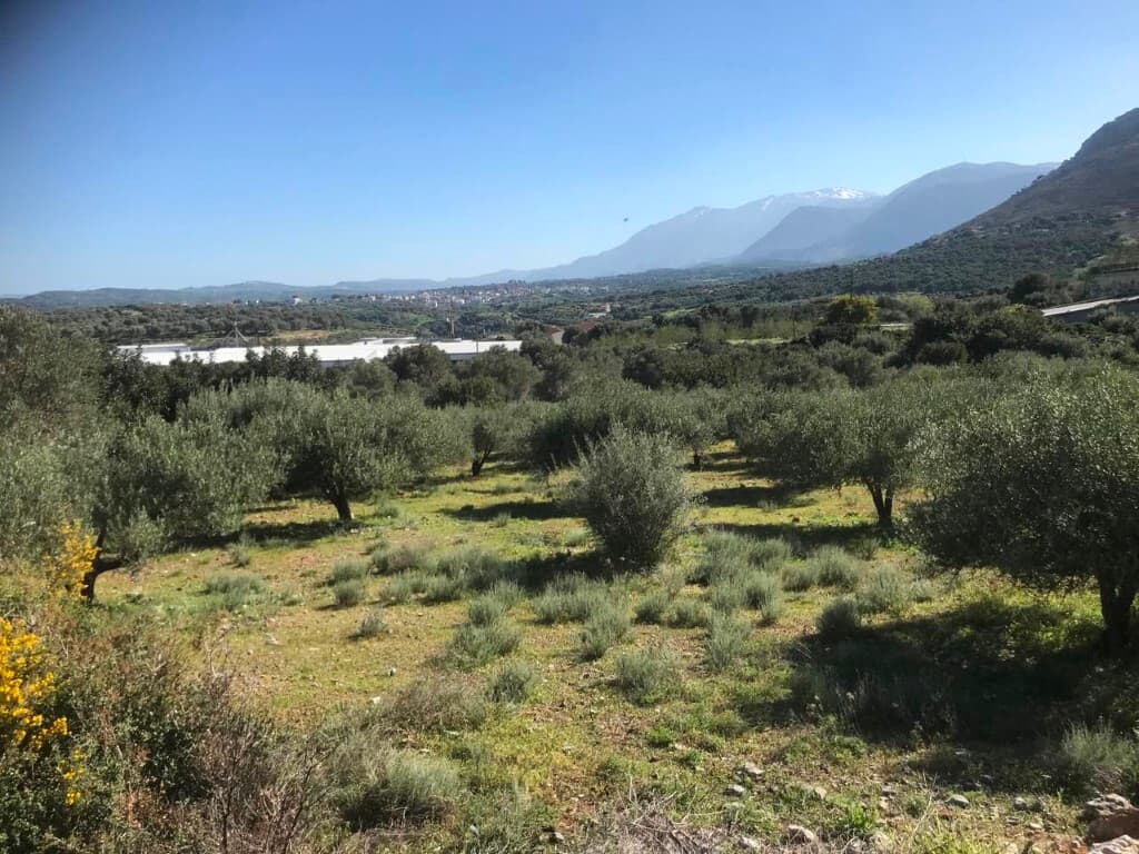For Sale Land 12400 m² in Crete