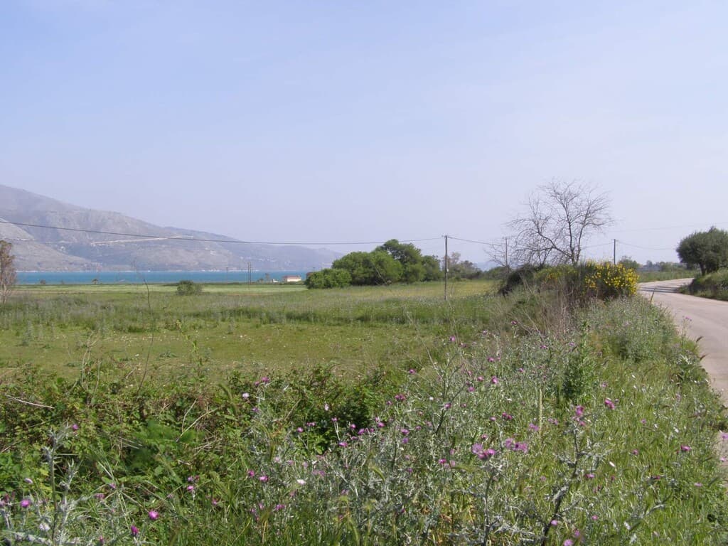 For Sale Land 14000 m² in Kefalonia
