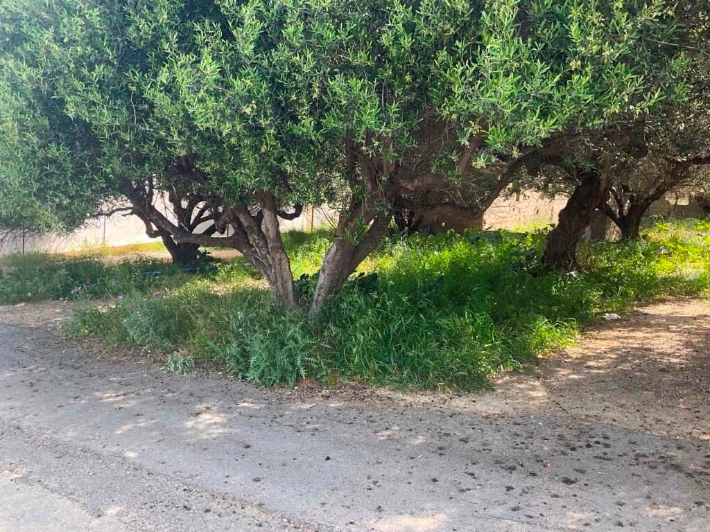 For Sale Land 862 m² in Crete